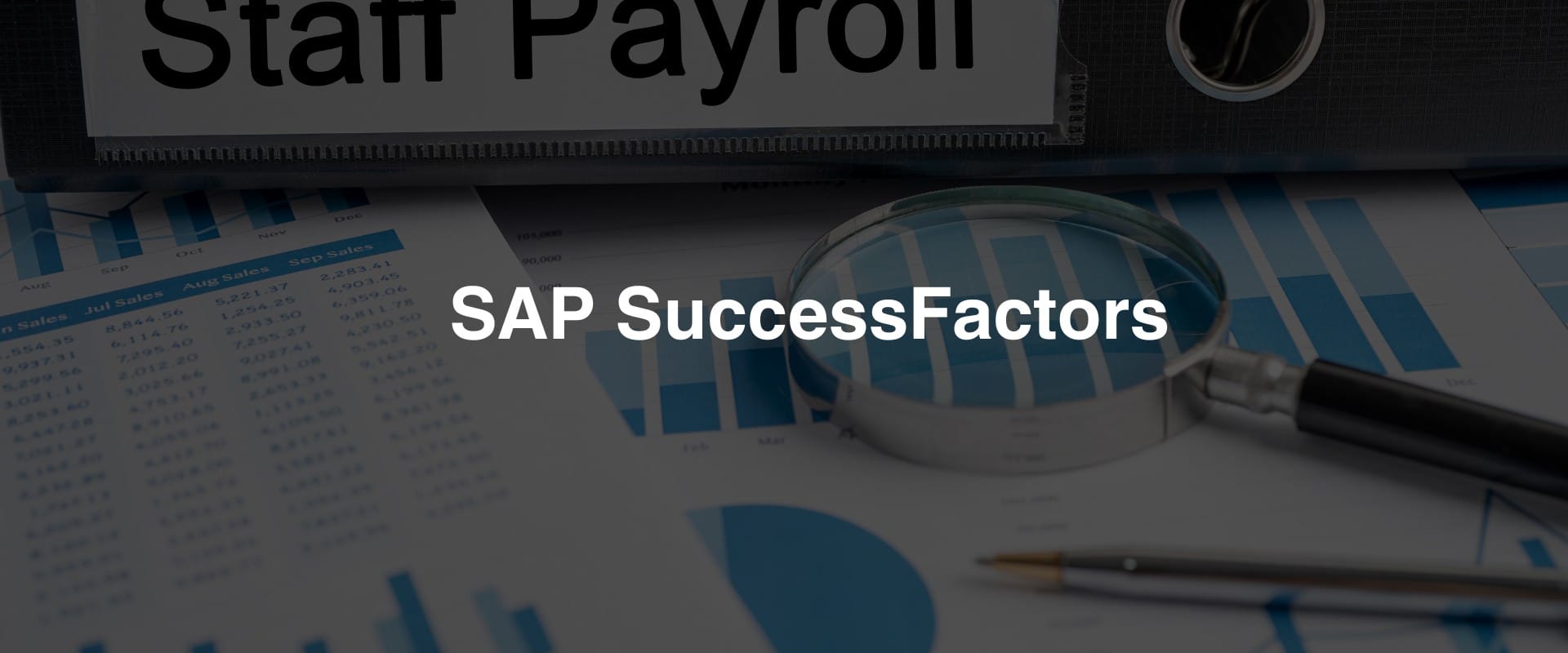 Everything You Need to Know About SAP SucessFactors