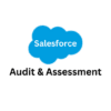 Salesforce Audit & Assessment